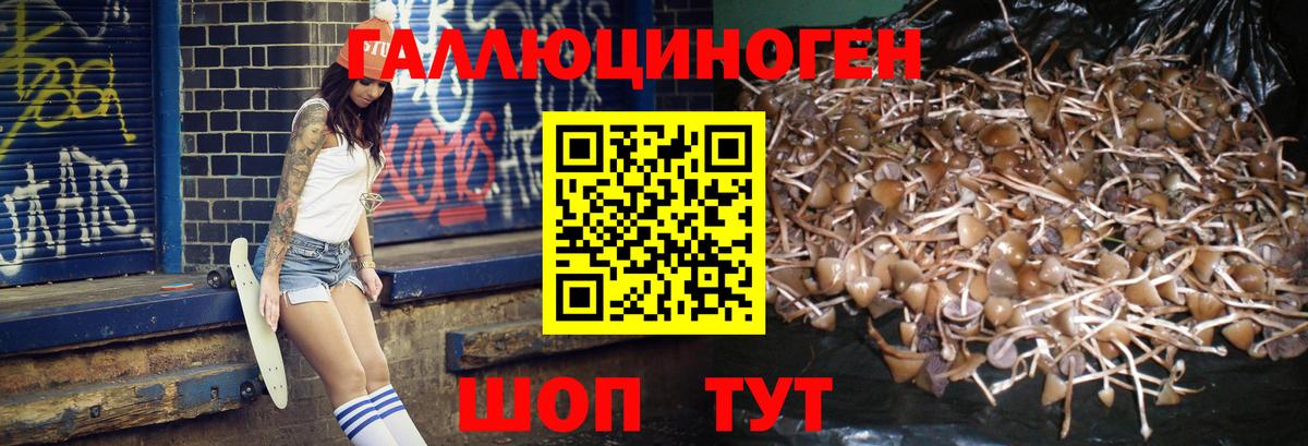 Галлюциногенные грибы Psilocybine cubensis  Вход с VPN  Псилоцибиновые грибы Psilocybine cubensis  Верхний Уфалей 